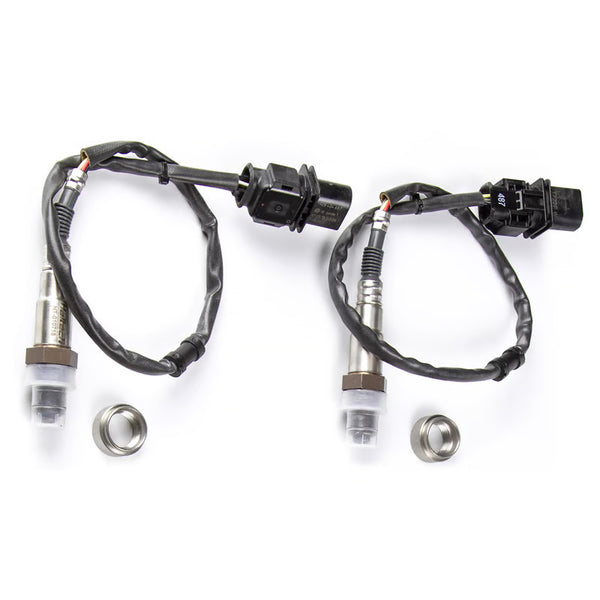Haltech WB2 Bosch - Dual Channel CAN O2 Wideband Controller Kit - SpeedUpPerformance