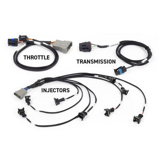 Haltech Nexus Rebel LS ECU & Terminated Harness - Suits Gen III LS - SpeedUpPerformance