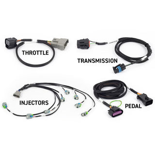 Haltech Nexus Rebel LS ECU & Terminated Harness - Suits Gen IV LS - SpeedUpPerformance